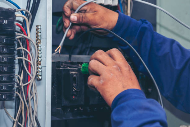 Best Licensed Electrician  in Jackson, AL