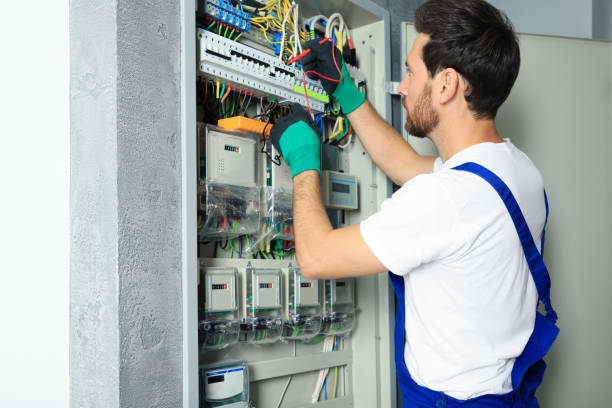 Best Electrical System Inspection  in Jackson, AL