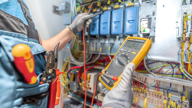 Best Ceiling Fan Installation Electrician  in Jackson, AL